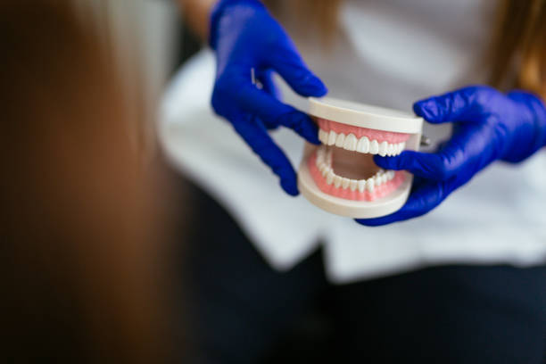  Minor, AL Holistic Dental Services Pros